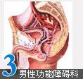 男性功能障碍科