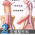 新阳光整形科